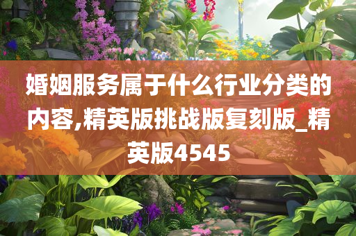 婚姻服务属于什么行业分类的内容,精英版挑战版复刻版_精英版4545