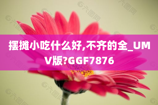 摆摊小吃什么好,不齐的全_UMV版?GGF7876