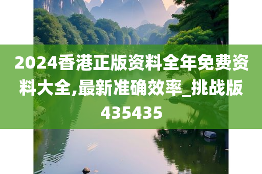 2024香港正版资料全年免费资料大全,最新准确效率_挑战版435435