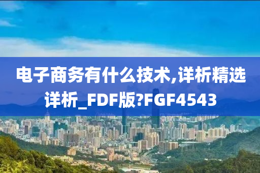 电子商务有什么技术,详析精选详析_FDF版?FGF4543