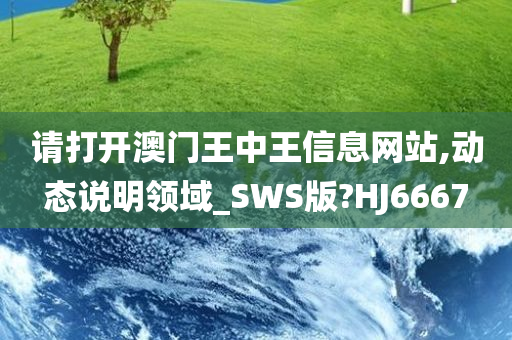 请打开澳门王中王信息网站,动态说明领域_SWS版?HJ6667