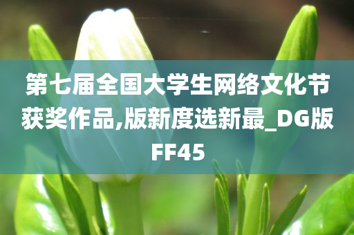 第七届全国大学生网络文化节获奖作品,版新度选新最_DG版FF45