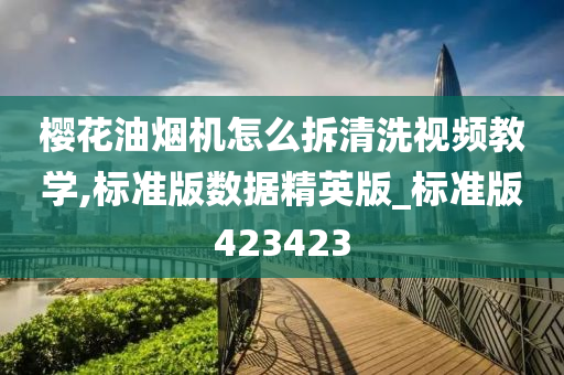 樱花油烟机怎么拆清洗视频教学,标准版数据精英版_标准版423423