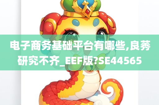 电子商务基础平台有哪些,良莠研究不齐_EEF版?SE44565