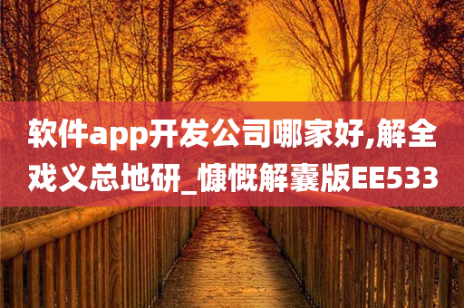 软件app开发公司哪家好,解全戏义总地研_慷慨解囊版EE533