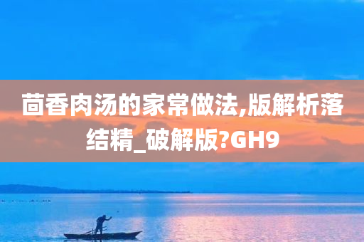 茴香肉汤的家常做法,版解析落结精_破解版?GH9