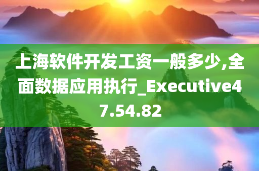 上海软件开发工资一般多少,全面数据应用执行_Executive47.54.82