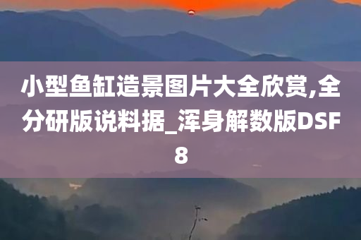 小型鱼缸造景图片大全欣赏,全分研版说料据_浑身解数版DSF8