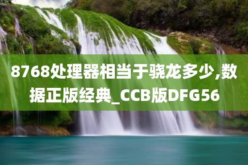 8768处理器相当于骁龙多少,数据正版经典_CCB版DFG56