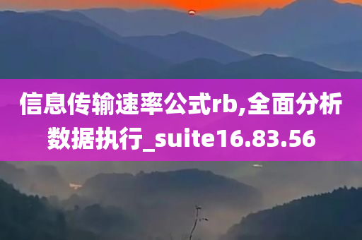 信息传输速率公式rb,全面分析数据执行_suite16.83.56