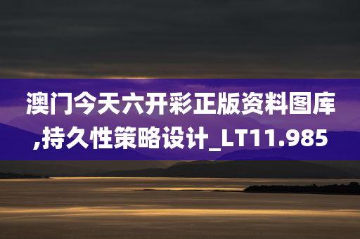 澳门今天六开彩正版资料图库,持久性策略设计_LT11.985