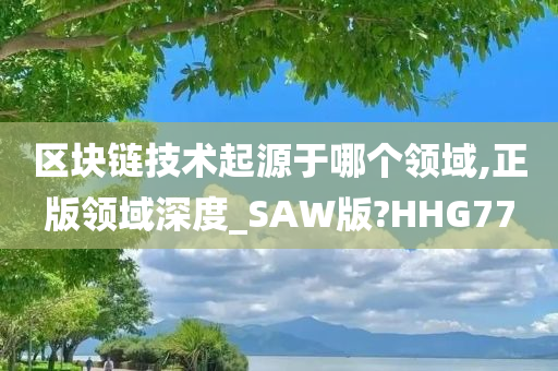 区块链技术起源于哪个领域,正版领域深度_SAW版?HHG77