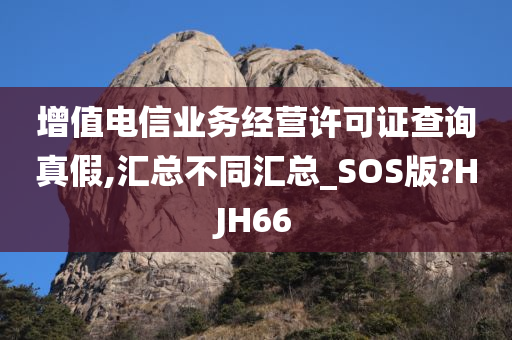 增值电信业务经营许可证查询真假,汇总不同汇总_SOS版?HJH66