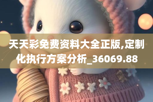 天天彩免费资料大全正版,定制化执行方案分析_36069.88