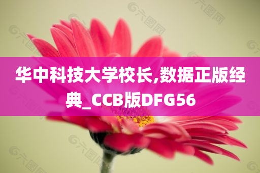 华中科技大学校长,数据正版经典_CCB版DFG56