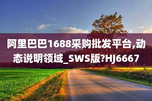 阿里巴巴1688采购批发平台,动态说明领域_SWS版?HJ6667