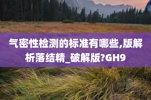 气密性检测的标准有哪些,版解析落结精_破解版?GH9