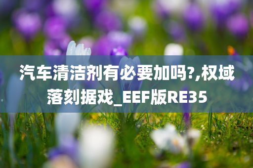 汽车清洁剂有必要加吗?,权域落刻据戏_EEF版RE35