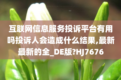 互联网信息服务投诉平台有用吗投诉人会造成什么结果,最新最新的全_DE版?HJ7676