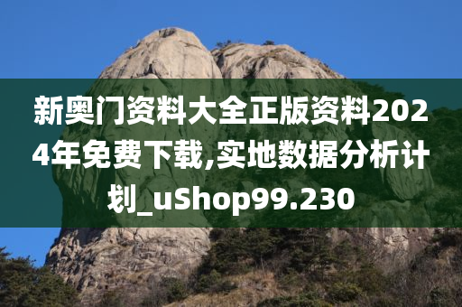 新奥门资料大全正版资料2024年免费下载,实地数据分析计划_uShop99.230