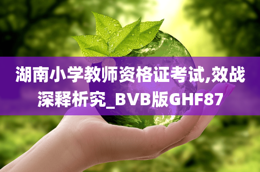 湖南小学教师资格证考试,效战深释析究_BVB版GHF87