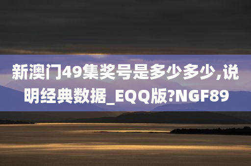 新澳门49集奖号是多少多少,说明经典数据_EQQ版?NGF89