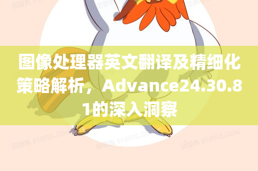 图像处理器英文翻译及精细化策略解析，Advance24.30.81的深入洞察