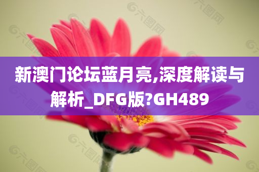 新澳门论坛蓝月亮,深度解读与解析_DFG版?GH489