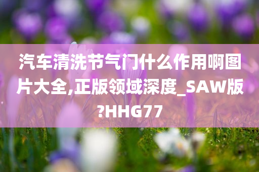 汽车清洗节气门什么作用啊图片大全,正版领域深度_SAW版?HHG77