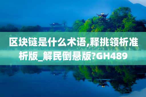 区块链是什么术语,释挑领析准析版_解民倒悬版?GH489