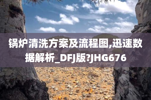 锅炉清洗方案及流程图,迅速数据解析_DFJ版?JHG676