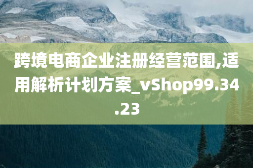 跨境电商企业注册经营范围,适用解析计划方案_vShop99.34.23