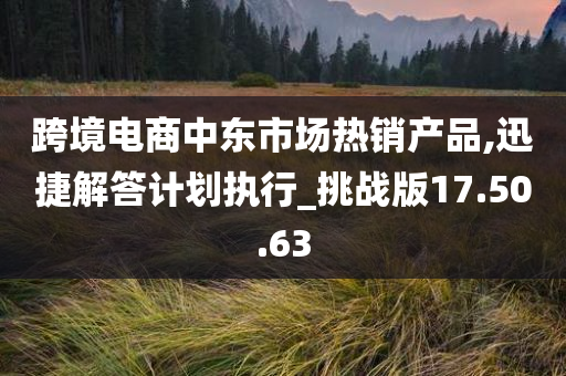 跨境电商中东市场热销产品,迅捷解答计划执行_挑战版17.50.63