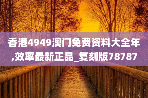 香港4949澳门免费资料大全年,效率最新正品_复刻版78787