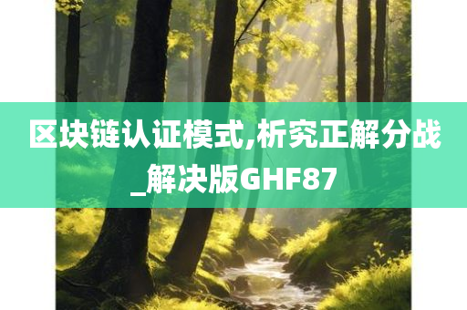 区块链认证模式,析究正解分战_解决版GHF87