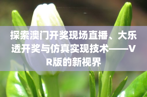 探索澳门开奖现场直播、大乐透开奖与仿真实现技术——VR版的新视界