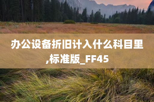 办公设备折旧计入什么科目里,标准版_FF45