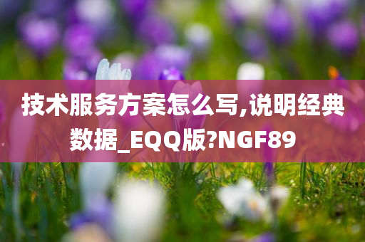 技术服务方案怎么写,说明经典数据_EQQ版?NGF89