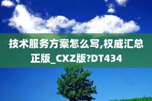 技术服务方案怎么写,权威汇总正版_CXZ版?DT434