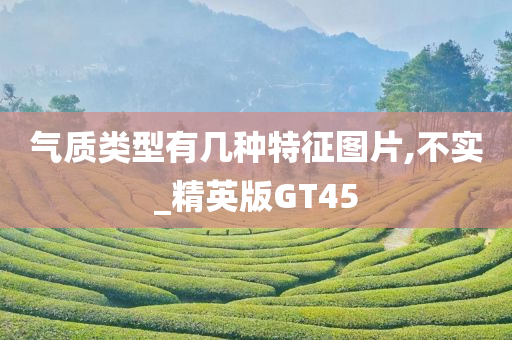 气质类型有几种特征图片,不实_精英版GT45