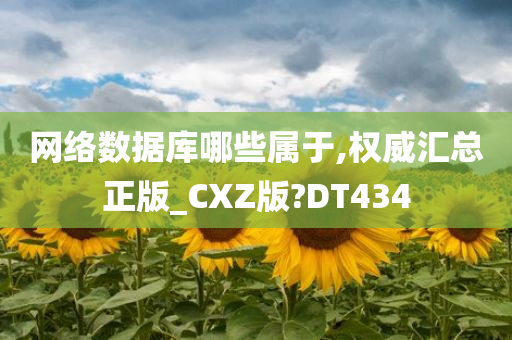 网络数据库哪些属于,权威汇总正版_CXZ版?DT434