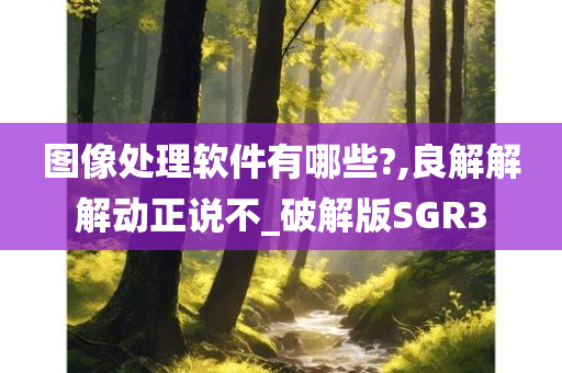 图像处理软件有哪些?,良解解解动正说不_破解版SGR3