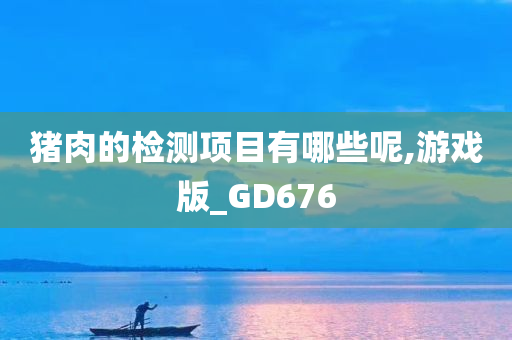 猪肉的检测项目有哪些呢,游戏版_GD676