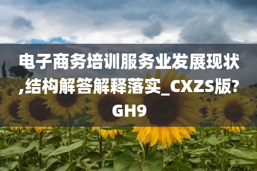 电子商务培训服务业发展现状,结构解答解释落实_CXZS版?GH9