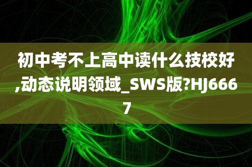 初中考不上高中读什么技校好,动态说明领域_SWS版?HJ6667