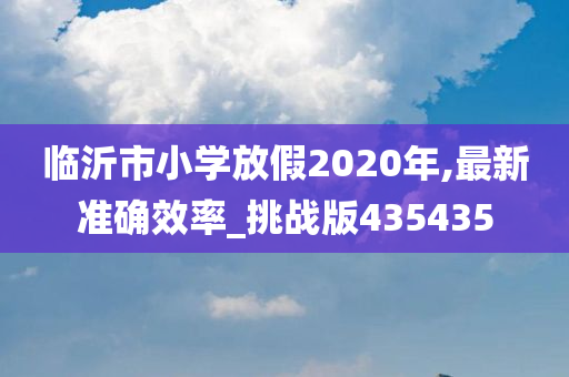 临沂市小学放假2020年,最新准确效率_挑战版435435