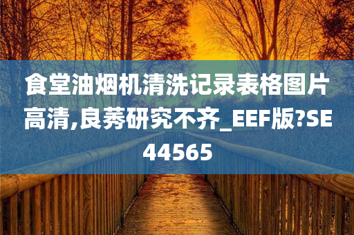 食堂油烟机清洗记录表格图片高清,良莠研究不齐_EEF版?SE44565