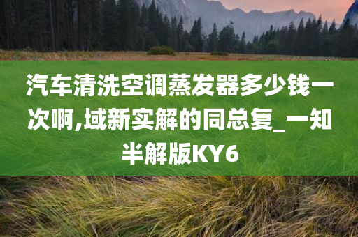 汽车清洗空调蒸发器多少钱一次啊,域新实解的同总复_一知半解版KY6