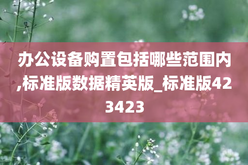 办公设备购置包括哪些范围内,标准版数据精英版_标准版423423