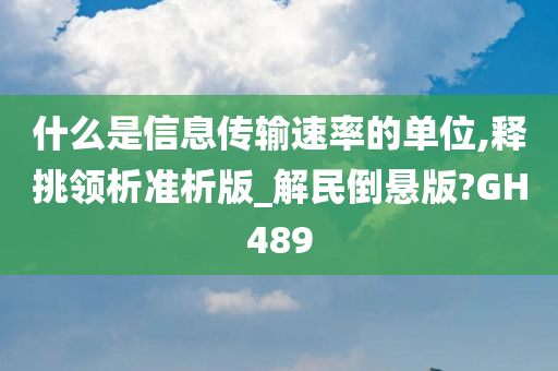 什么是信息传输速率的单位,释挑领析准析版_解民倒悬版?GH489